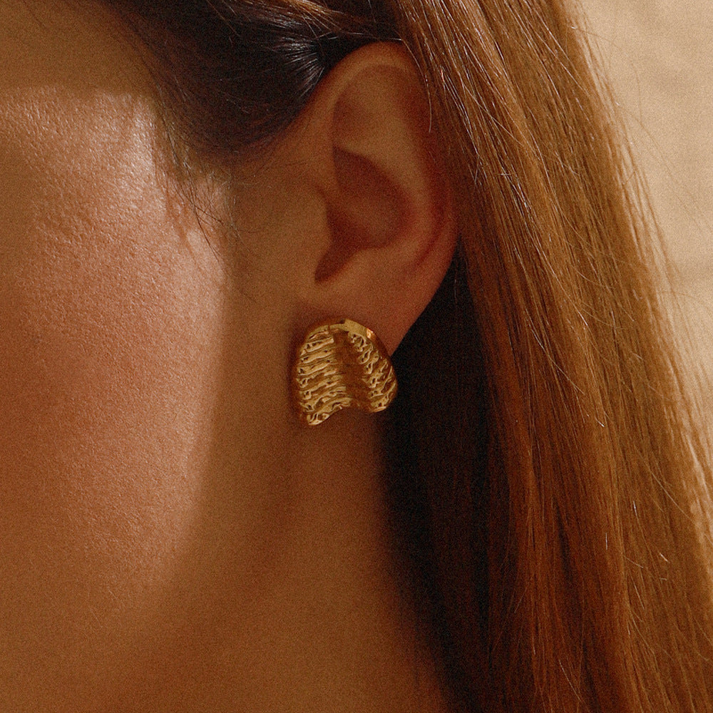Stainless Steel Earrings 18K Titanium Steel Ornament - Norellé