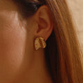 Stainless Steel Earrings 18K Titanium Steel Ornament - Norellé
