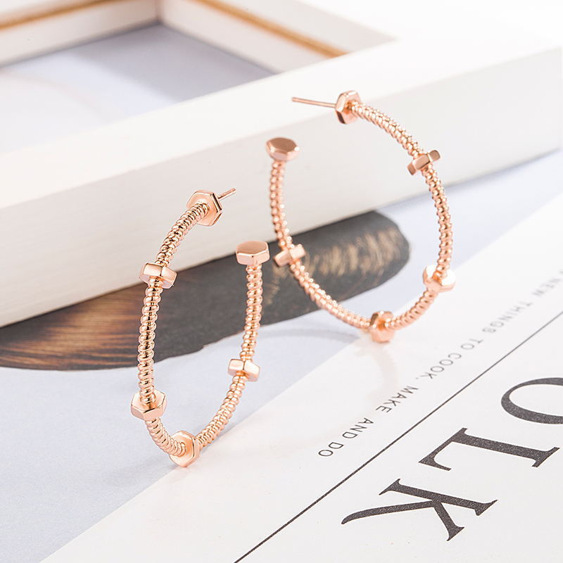 Simple And Elegant Round Studs Ring Spiral Texture Earrings - Norellé