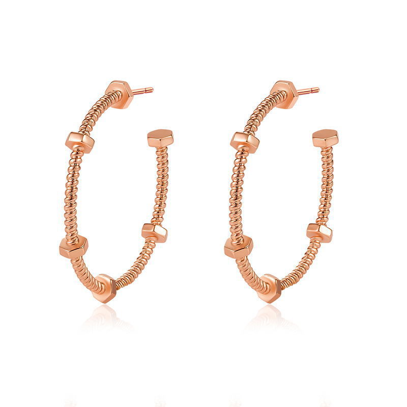 Simple And Elegant Round Studs Ring Spiral Texture Earrings - Norellé