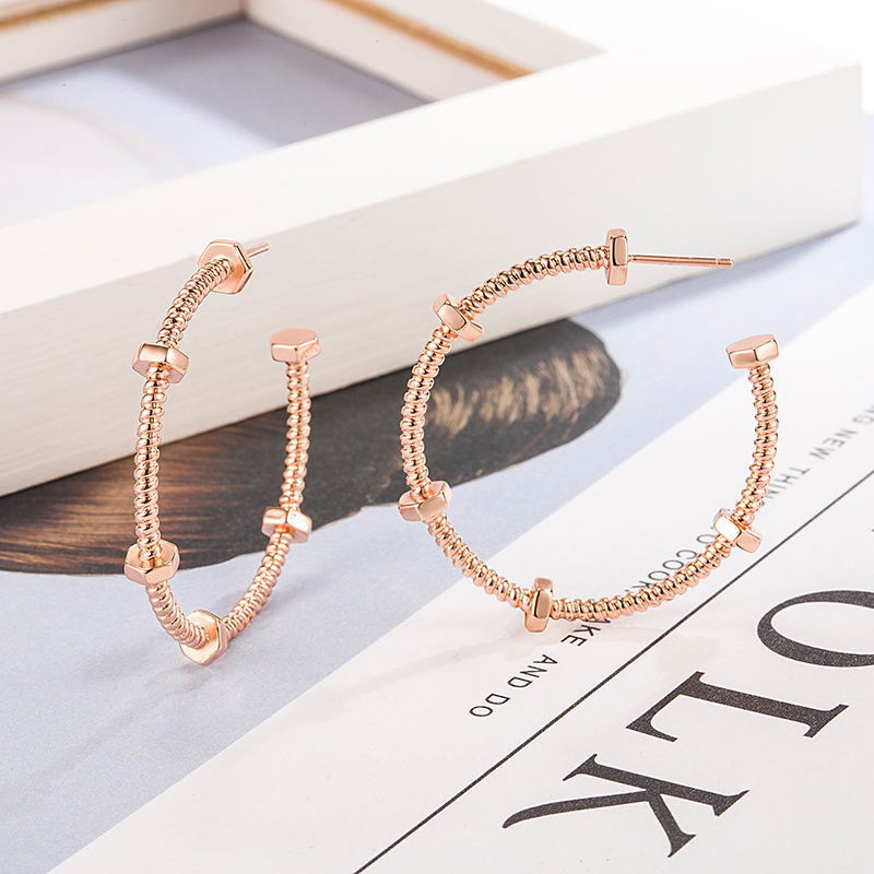 Simple And Elegant Round Studs Ring Spiral Texture Earrings - Norellé