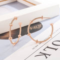 Simple And Elegant Round Studs Ring Spiral Texture Earrings - Norellé