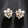 Freshwater Pearl Zircon Earrings Drop-shaped - Norellé