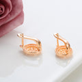 Special-interest Simple Temperamental And Personalized Zircon Earrings - Norellé