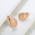 Special-interest Simple Temperamental And Personalized Zircon Earrings - Norellé