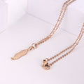Simple Titanium Steel Clavicle Chain Leaf Pendant Long Necklace - Norellé
