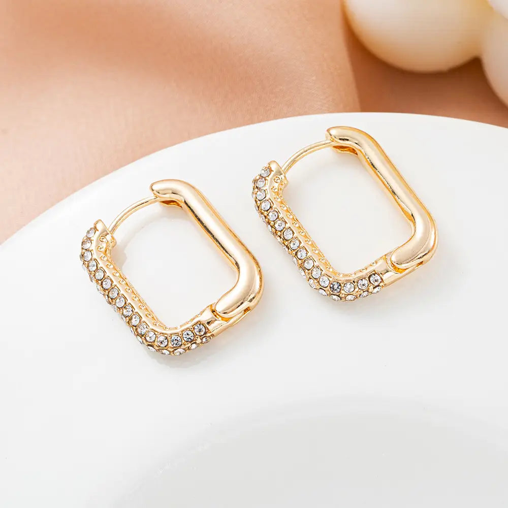 Round Ring Earrings Women