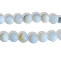 Shell Necklace Vacation Style Simple Fashion Lock All-match Jewelry - Norellé
