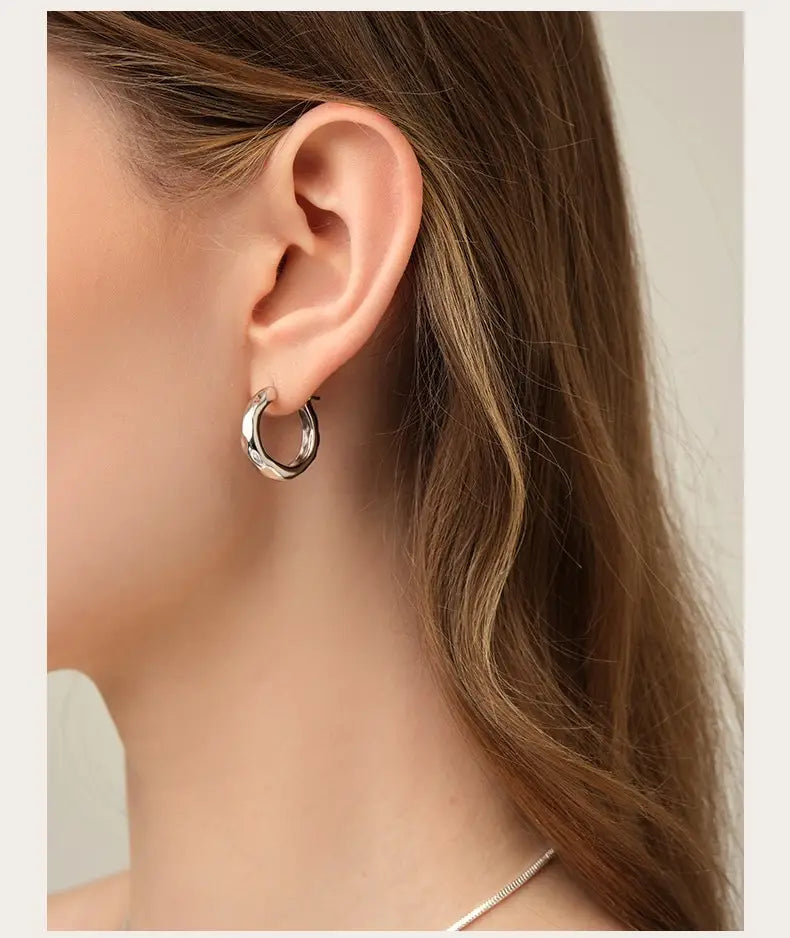 Niche Design Unique Streamer Silver Pin Earrings