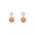 Women's Brown Gradient Crystal Diamond In The Debris Stud Earrings - Norellé