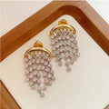 Exaggerated Zircon Ins Tassel Earrings Niche Design - Norellé