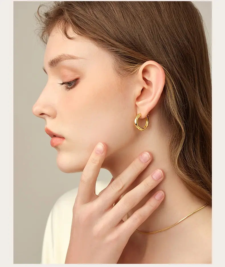 Niche Design Unique Streamer Silver Pin Earrings