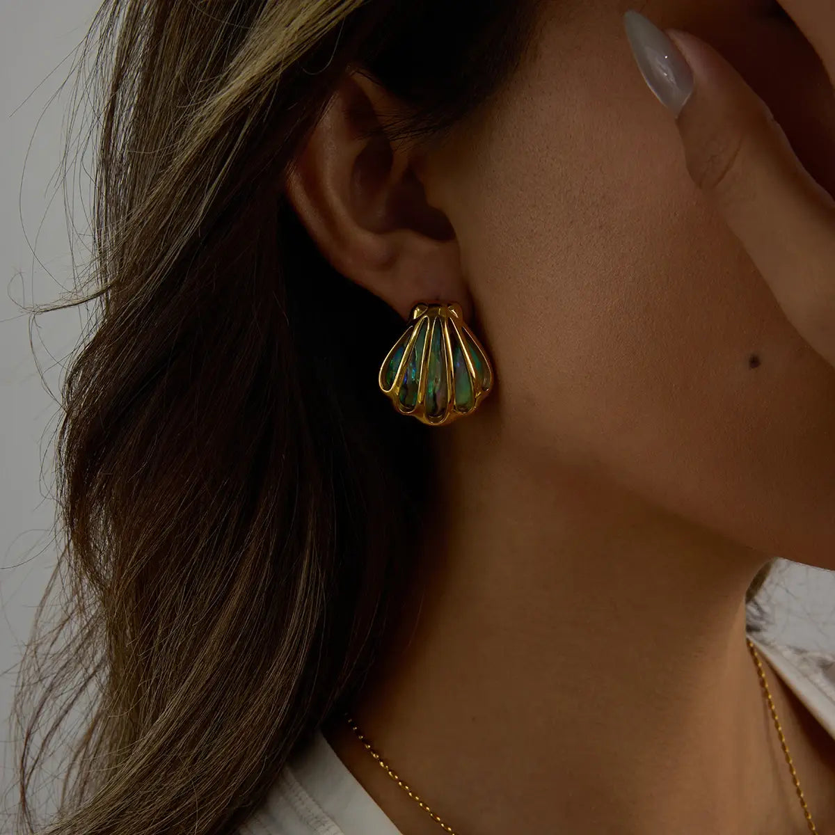 Ocean Shell Colored Abalone Earrings Stainless Steel