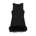 Elegant Women Feathers Mini Dress - Norellé