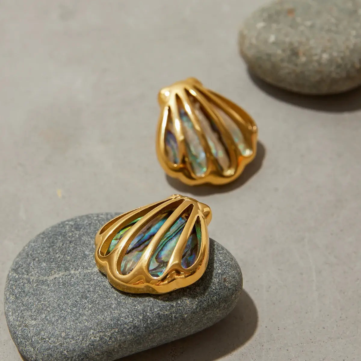 Ocean Shell Colored Abalone Earrings Stainless Steel