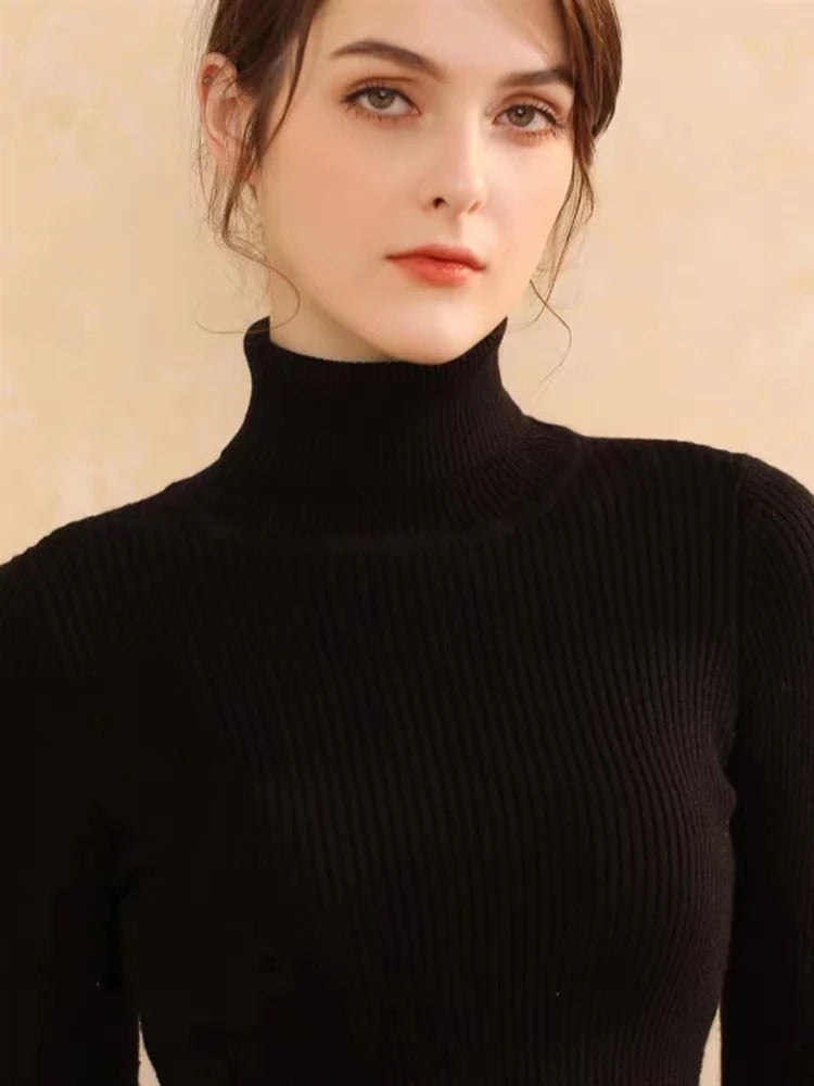 Turtleneck Jumper Woman Knitted Blouse