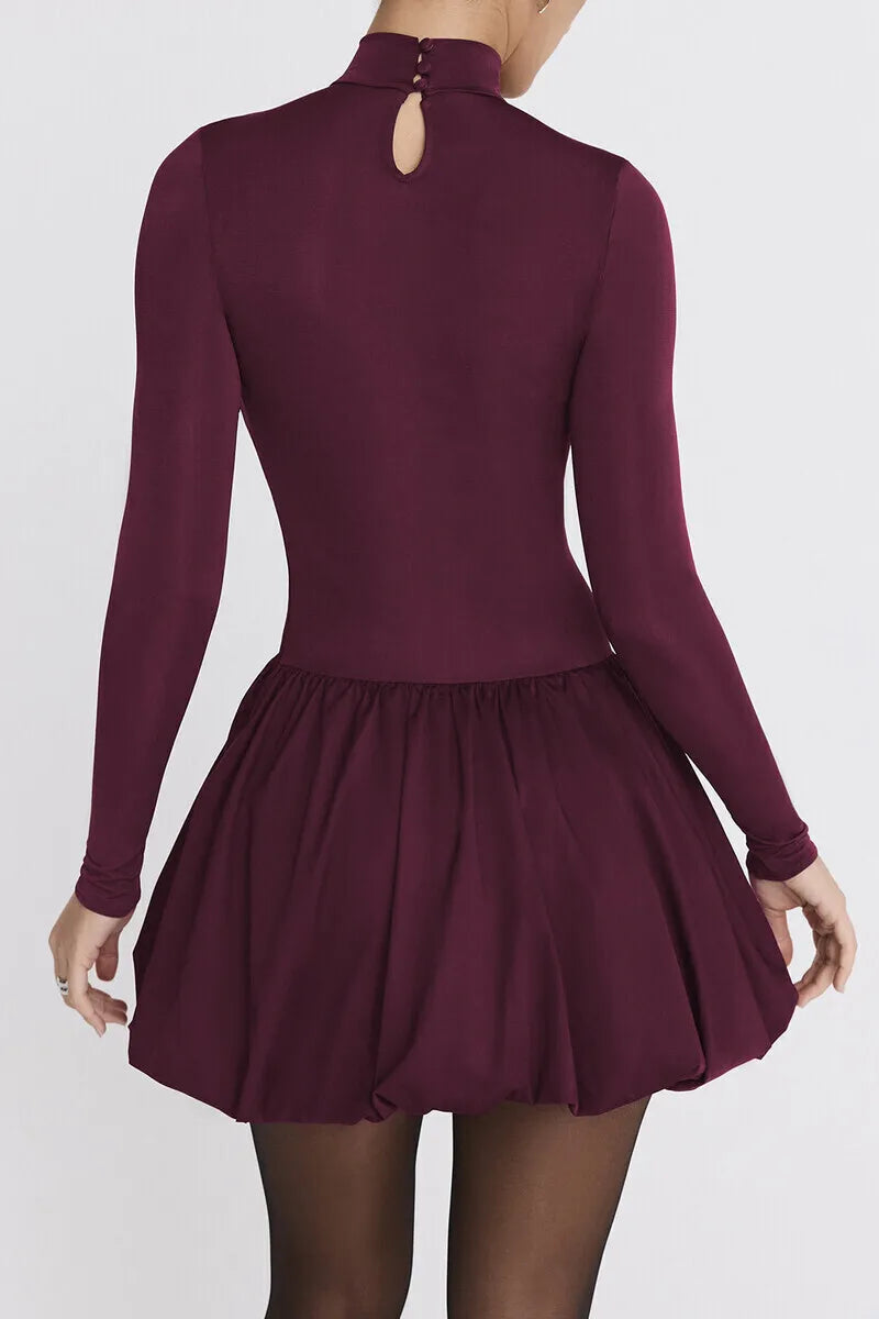 Turtleneck Long Sleeve Women Mini Dress Burgundy High Waist A-line