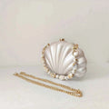 Female Shell Acrylic Box Clutch