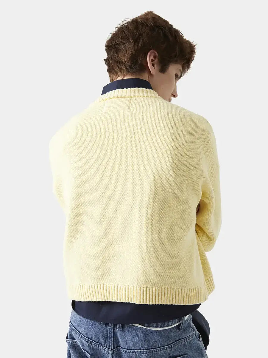 Knitted Sweater Autumn and Winter Women