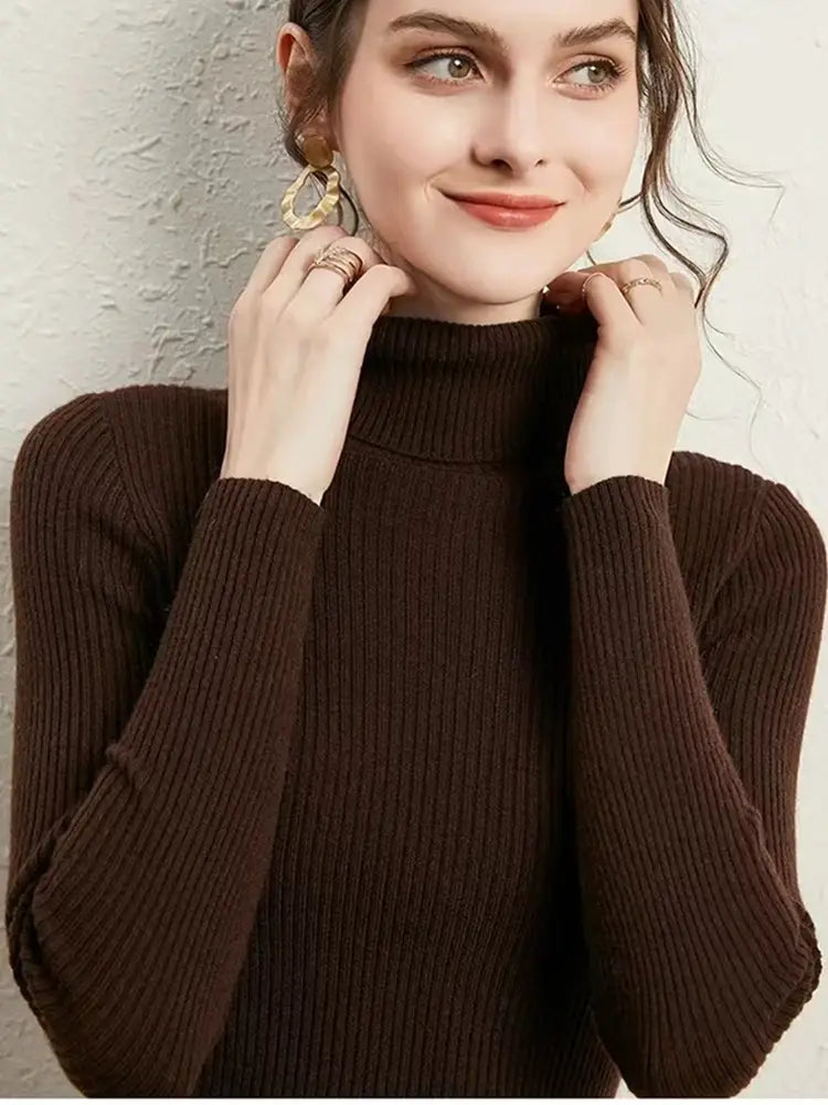 Turtleneck Jumper Woman Knitted Blouse