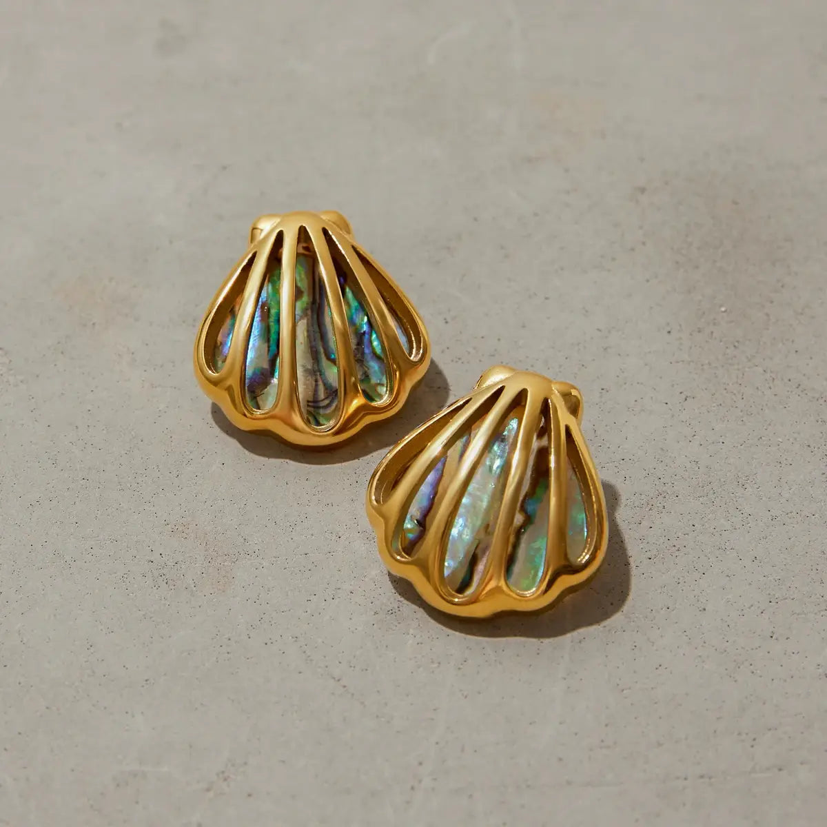 Ocean Shell Colored Abalone Earrings Stainless Steel