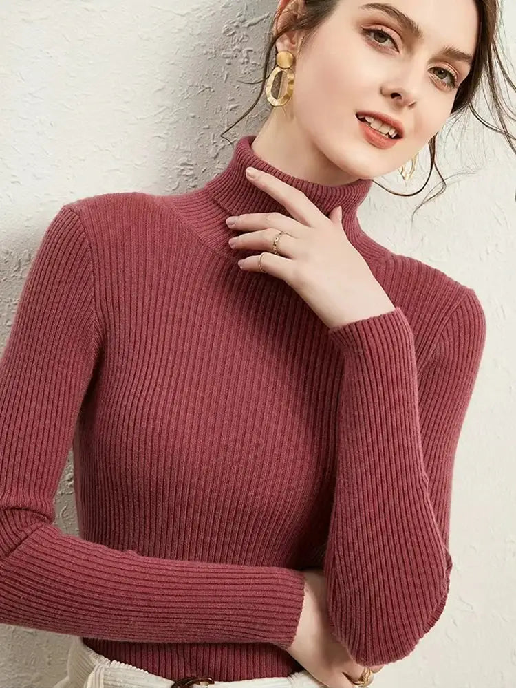 Turtleneck Jumper Woman Knitted Blouse