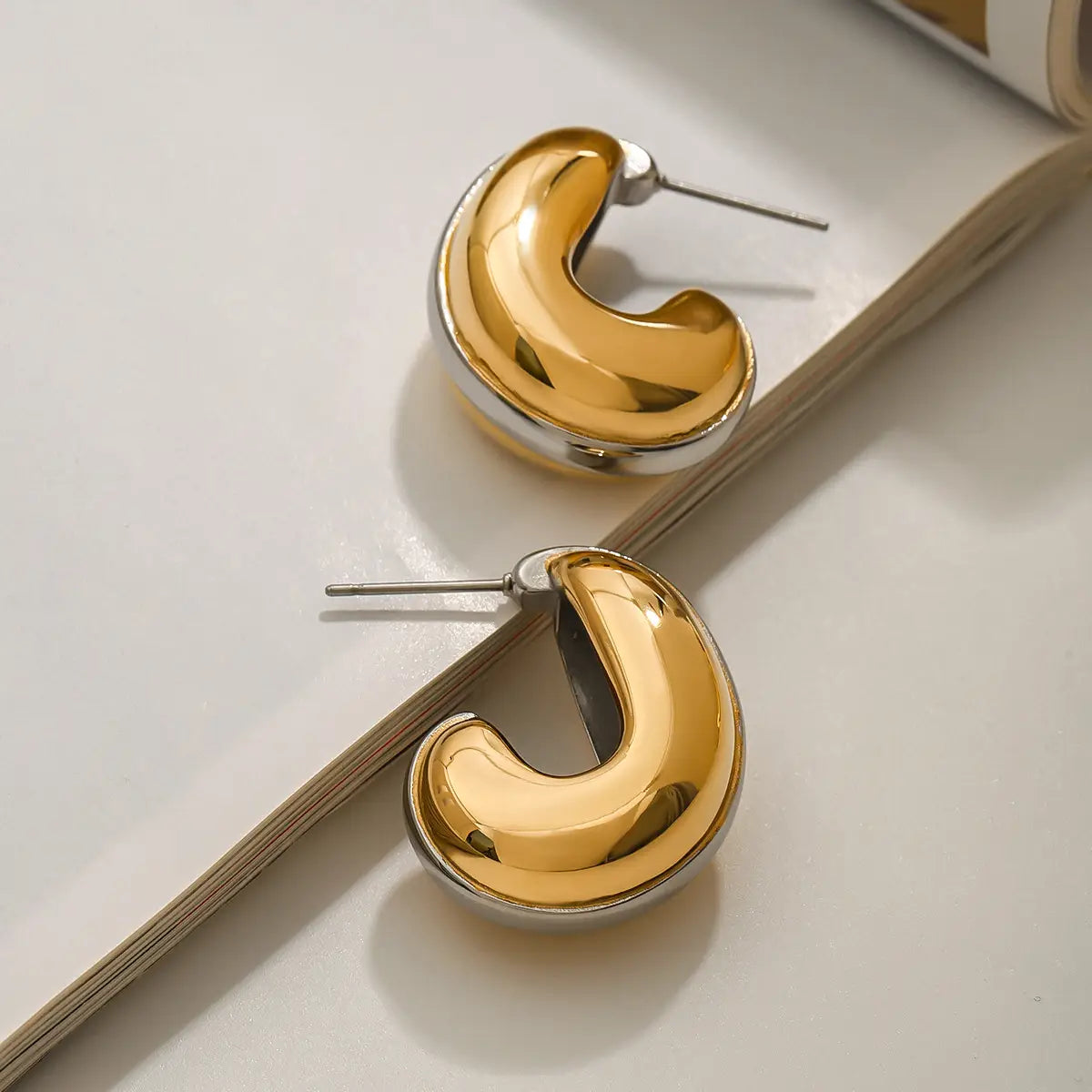 Titanium Steel Earrings Niche Stainless