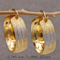 Copper Material Graceful Personality Simple Earrings - Norellé