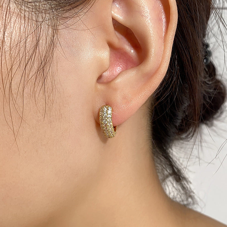 Stainless Steel Gold Plated Multi-drilling Zircon Earrings - Norellé