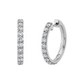 Luxury Zircon Earrings Ear Ring - Norellé
