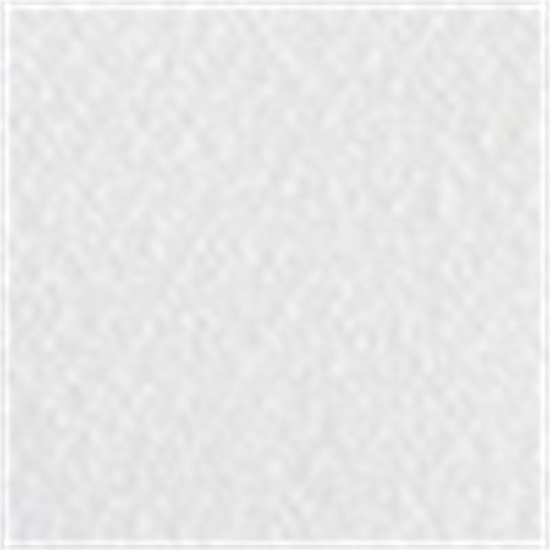 Pearl Decorative Coat