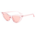 Cat Eye Sunglasses Women - PinkPink / free cloth