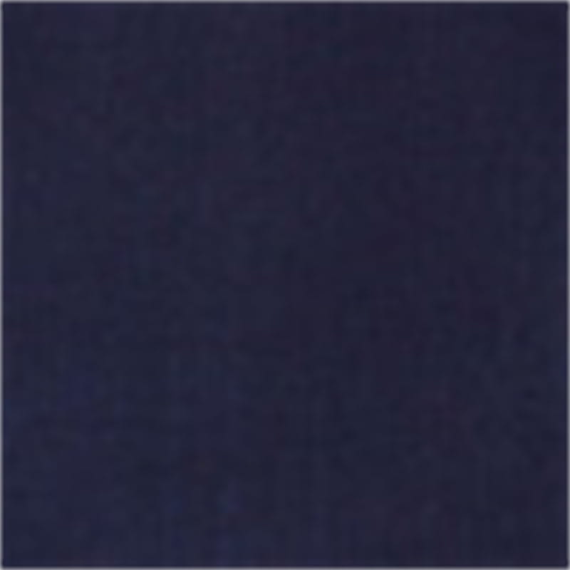 Women’s Fashion Wide Pleated Lead Short Dress