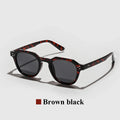 Luxury Round Light Sunglasses - C3 brown black
