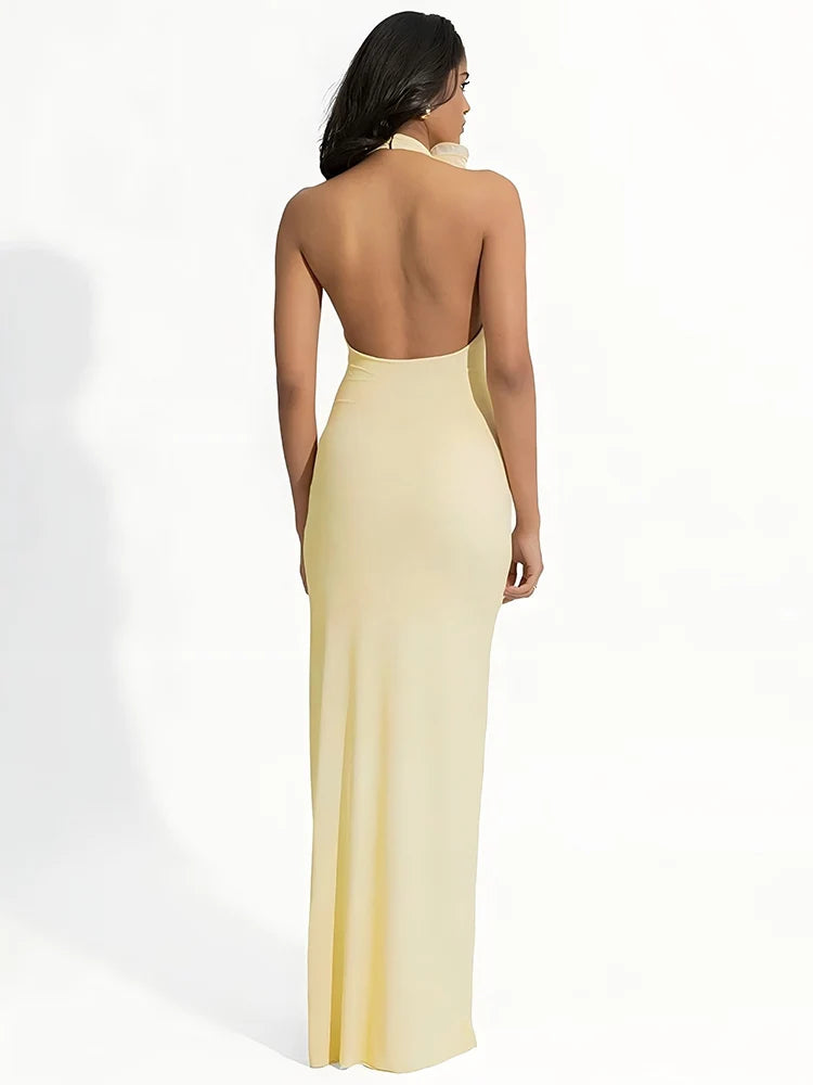 Mesh Rose Deep V Neck Maxi Dress For Women