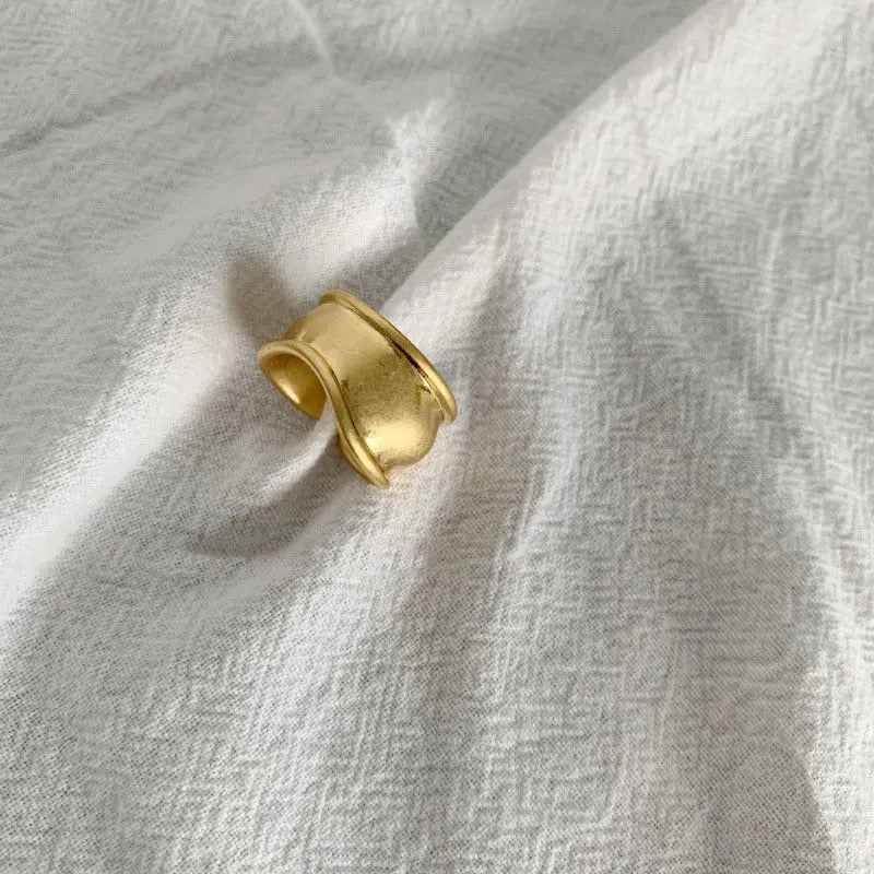 Simple And Irregular Ring Personality Ornament - R702 / Adjustable Opening - electronic accessories