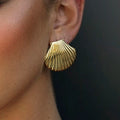 Stainless Steel Big Textured Shell Stud Earrings - JDEW2307045