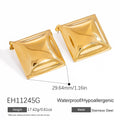 Stainless Steel High-grade Irregular Earrings - EH11245G / 18K Real Gold - electronic accessories