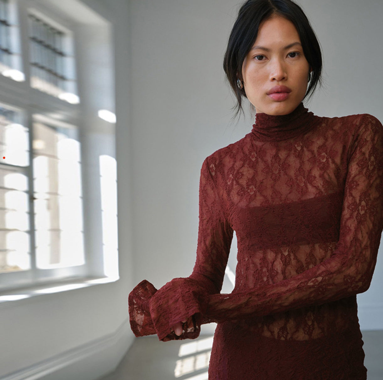 Women’s Turtleneck Lace Long Sleeve Dress - Other